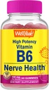 WellYeah High Potency Vitamín B6 Gummy - podporuje Nerve zdravie, kognitívne funkcie, regulácia nálady, Imunitná podpora, a kardiovaskulárne zdravie - Vegan, non-GMO, Gluten-free - 60 Počet