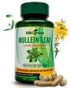 KIKI Green Mullein Leaf Extract Capsules - Vegan Herbal Supplement - pre Pľúcne čistenie, podpora, Lepšia respiračná, imunitná funkcia - 1000mg 45 Servings - 90 Count