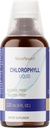 Chlorofyl Tekutina, 120 ml,4 mesiac Dodávka Liquid Chlorofyl Supplement for Internal Dezodorizer,Men and Women