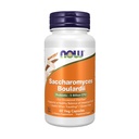Teraz doplnky, Saccharomyces Boulardii, 5 miliárd CFU Probiotic, 60 Veg Kapsule