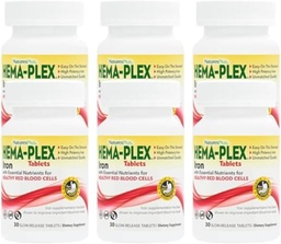 NaturesPlus Hema-Plex Železo - 30 Tablety s trvalým uvoľňovaním, balenie 6-85 mg Elementárneho železa - celkové zdravie krvi - s vitamínom C a bioflavonoidmi - Vegan, bez lepku - 180 celkových porcií