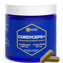 Cordyceps Mushrom Capsulas - 1000mg Cordyceps Extract & 125mg Yerba Mate Extract - 100% Ovocná dužina Supplement - Podpora Brain Energy & Cognitive Performance - 60 Yerba Mate Capsules