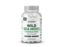 Organics Ocean Wild Sea Moss Capsules - 100% Organic Irish Sea Moss with Organic Chlorella, Bladderwrack and Vitamín D for Energy, Lung Health and Thyroids Support for Women and Men - 60 Kapsule