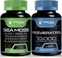 WELLNESS LABSRX kapsuly Resveratrol s morskými kapsulami Moss