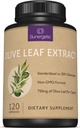 Premium Olive Leaf Extract Kapsule 