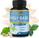 Organic Cadane Holy Basil Supplements Kapsule, 5in1 s Guduchi, Ginger, Turmerica Curcumin, Licorice - Support Immune - 90 Kapsule po 3 mesiace