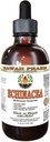Echinacea Liquid Extract bez obsahu alkoholu, Organic Echinacea (Echinacea Purpurea) Sušený Herb Glycerit Hawaii Pharm Natural Herbal Supplement 4 oz