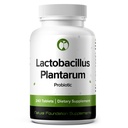 Lactobacillus Plantarum Probiotic Supplement 240 Tablety 3 Milión CFU Probiotiká pre mužov a ženy Podpora Intestinálna trávenie a zdravie Gut (240, Lactobacillus Plantarum)