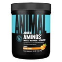 Živočíšne šťavnaté aminokyseliny - BCAA Powder EAA Matrix Plus Hydratácia s elektrolytmi a morskou soľou kedykoľvek zotavenie a lepší výkon, Orange Flavor, 30 porcií