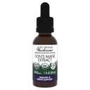 Host Defense Huby Lion's Mane Extract - Lion's Mane Liquid Supplement for Brain Health - Mushroom Support for Focus & Memory Function - Immune & Nervisive System Support - 1 fl oz (30 Servings)