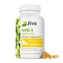 Jiva Botanicals Amla Kapsule (Amalaki) - 60 Vegan Kapsule - Amla Powder - Indický Goodesberry Supplement pre Vitality