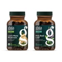 Gaia byliny Levíček Mane Huba - Pomoc udržať neurologické zdravie - 120 Vegan Liquid Phyto-Capsules & Holy Basil Leaf - pomáha udržiavať pozitívnu mysľou a rovnováhu v časoch stresu - 120 Vegan Li
