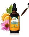 Herb Pharm Kids Certified-Organic Alkohol-Free Echinacea Glycerite Liquid Extract, 4 oz