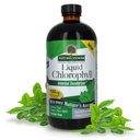 Prírodná odpoveď Tekutý chlorofyl, 100 mg, 16 fl oz (480 ml)