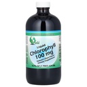 World Organics Chlorofyl Supplement Liquids, 100 mg, 16 Ounce, 16 Fl Oz (Pack of 1)