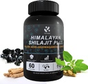 Shilajit Himalayan Supplement 60% Fulvic Acid, 120 Vegan Kapsule Supply with Pure Natural Shilajit, Ashwagandha, Ginseng Extract - High in Trace Minerals for Men Energy Support
