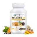 Joint Immune Suplement, Patented Blend Turmeric Curcumin C3 Complex with Black Pepper, Boswellia PS Extract & Ginger, Fast-Acting 20 minút, 8-hour Trvalé vydanie, 120 Caplets - Sanjevani