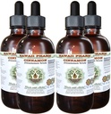 Škorica Bez obsahu alkoholu Tekutý extrakt, Škorica (Cinnamomum Verum) Sušená kôra Glycerit Hawaii Pharm Natural Herbal Supplement 4x4 oz