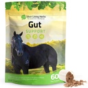 Strieborné ľanové byliny Gut podpora Konské doplnky - Gut zdravie a trávenie doplnok pre kone - Silentné trávenie Podpora Bylinné zmes sladkého drievka, Slippery Elm & More - 1 LB 60-Day Supply