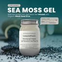 Ashwagandha Mango Sea Moss Gel Organic Fresh Fruit Infunded Wild Zber Írskeho mora Moss Gel Immune and Digestive Support 