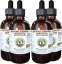 Hibiscus Liquid Extract bez obsahu alkoholu, Organic Hibiscus (Hibiscus Sabdariffa) Sušený kvetinový glycerit Hawaii Pharm Natural Herbal Supplement 4x4 oz