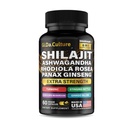 Shilajit Ashwagandha Rhodiola Rosea Panax Ginseng - od Muži a ženy - Shilajit Kapsule - 60 Veggie Kapsule