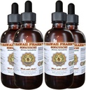 Sinicuichi Liquid Extract, Sinicuichi (Heimia Salicifolia) Tinktúra, Bylinné doplnky, Hawaii Pharm, Made in USA, 4x4 fl.oz