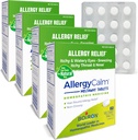 Boiron AlergyCalm Tablety 240 Počet, Relief from Alergies and Hay Fever Symptómy dýchavičnosti, Runny Nos, svrbenie oči, Hrdlo, Alergie Pokojné Tabule (Predovšetkým RhinAllergy) (Pack of 4 60ct Boxy)