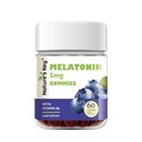 Nature's Key Melatonin Gumies for Kids & Adults, 5mg Dose Gummy with Vitamin B6, Non-GMO,Gluten-Free-Natural Blueberry Apple 60 Count
