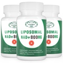 NAD+ Supplement Lipozomálne NAD+ Plus 800MG Nikotínamid Riboside Alternatíva pre bunkovú energiu, zdravé starnutie a svalovú opravu 180 kapsúl (dávka 3)