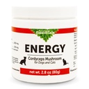 Essentials Animals Energy Cordyceps Mushroom Supplement for Psi & Mačky - Support Stamina & Endurance, Healthy Respiration & Obličky Functions, Antioxidant, Mushroom Powder Extract - 2.8 Oz (Pack of 1)