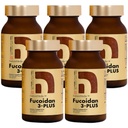 Fucoidan 3-Plus Brown Seaweed Imunity Supplement with Three Types of High Purity Fucoidan Organic Mekabu Fucus Mozuku Agaricus Made in Japan (Vegetovateľné kapsule, 5 Fľaše)