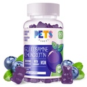 Domáce zvieratá Čistý Glukozamín Chondroitín Gummy s MSM a bazami Extra sila - Spoločná podpora, Antioxidant Immune Suplement pre dospelých, Muži a ženy.60 Čučoriedkové Gummy