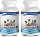 PET DOPLNKY A NUTRITION LLC Psie inkontinencie Natural - Psie močové tract Support - Natural Cranberry Solution - Bladder Health - Vet Doporučené - Pes Bladder Treats - 2 Fľaša (180 Treats)