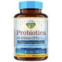 Terranics Probiotiká 60 mld. CFU, 20 kmene, 60 Veg kapsuly, Prebiotiká a probiotiká, Police Stable Probiotic Supplement for Men & Women, Digestive & Immune Health, Non- GMO, NO Soy, Dairy & Gluten