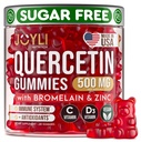 JOYLI Quercetin Gummies - Quercetin s hypromelínom Zinok Vitamín C a vitamín D3 - Quercetin Supplement 500MG pre imunitný systém a alergiu - Quercetin pre deti a dospelých - 60 Quercetin Chewable