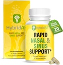 HybridAR Rapid Sinus Relief and Calm 