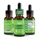 Premium Chlorofyl Liquid Drops - 100% Natural & Gluten Free Liquid Chlorofyl - Non GMO, 118 Servings