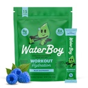 Waterboy Cvičenie Hydratácia 2,960mg Cukor Bez Electrolyte Powder Packets 