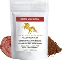 Prídavný wellness Reishi Mushrom Extract Powder + Spores (50/50 Blend) Drevo pestované Pure & Potent Wildcrafted Ganoderma 50g (1,76 oz)