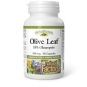 Bylinné Factors podľa prírodných faktorov, Olive Leaf 500 mg, Natural Wellness Formula, 90 Kapsule
