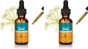 Herb Pharm OSHA Root Liquid Extract for Respiration Support - 1 Ounce (Pack of 2)