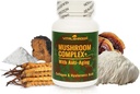 Hubový komplex s anti-aging. Natural Mushrom-Based Anti-Aging Doplnky s Chaga, Lion