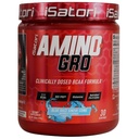 iSatori Amino-GRO BCAA prášok, rozvetvený reťazec Aminokyseliny s glutamínom, Electrolyte Powder & Bio-GRO Bio-Active Peptidy pre rast svalov a zotavenie po tréningu, Blue Razz Snow Cone (30 podáva)