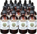Škorica Bez obsahu alkoholu Tekutý extrakt, Škorica (Cinnamomum Verum) Sušené Bark Glycerit Hawaii Pharm Natural Herbal Supplement 15x4 oz