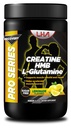 Pro Series Recovery Creatine HMB L-Glutamine je Výkonný zotavenie Formula navrhnutý tak, aby urýchlili svalovú opravu a podporu Lean svalového rastu po intenzívnom tréningu.