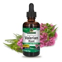 Nature's Answer Valerian Root 