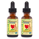 ČILDLIFE ESSENCIA Echinacea pre deti - Detské kvapky Echinacea, Tekutá tinktúra, Alkohol bez doplnok pre deti, batoľatá, deti - prírodná pomaranč, 1 Fl Oz (Stoj z 2)