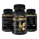 Gallobiotic Natural Multivitamín pre kohút, Hens - 100 tabliet
