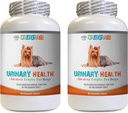 Podpora psa močového mechúra - Pes močového zdravia Formula - Pomáha s inkontinenciou a močového mechúra problémy - Immune Boost - Pes Cranberry doplnok žuvať - 2 fľaše (180 Treats)